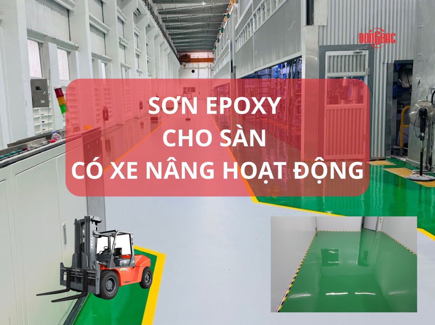 Lưu Ý Khi Thi Công Sơn Epoxy Cho Sàn Có Xe Nâng Hoạt Động Liên Tục